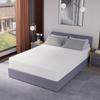 PayLessHere 12 Inch Queen Green Tea Mattress/Breathable Mattress for Cool Sleep & Pressure Relief/Medium Firm Mattresses/CertiPUR-US Certified/Bed-in-a-Box/Pressure Relieving 12 inch, Queen view 1