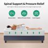 PayLessHere 12 Inch Queen Green Tea Mattress/Breathable Mattress for Cool Sleep & Pressure Relief/Medium Firm Mattresses/CertiPUR-US Certified/Bed-in-a-Box/Pressure Relieving 12 inch, Queen view 3
