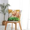 CLOAZKU Custom Love Photo Pillow Case for Boyfriend Girlfriend Couple, Customized Back Cushion Cover with Photo Text Logo, Premium Home Decor and Bedding Supplies, 12"x12" view 4