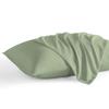 800 Thread Count Egyptian Cotton Pillowcases Set of 2, Super Soft and Breathable Zipper Closer Travel Pillow Cases, 16x20 Inches, Moss Solid view 1