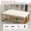 HomeLoft Basics Lounge Bench Entryway Bench 2 Tier Upholstered Bench Foyer Long Bench with Storage Shelf Bedroom Shoe Bench Hallway Shoe Rack Bench, 60X30X45cm view 3