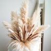 Decorative Tall Pampas Grass for Floor Vase  Premium Large Pampas Grass Decor Tall, 17"-40" Pampas Grass Stems, Dried Pampas Grass Decor Tall, Natural Pampas Grass with Beige Decor and Boho Feathers view 1