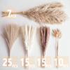 Decorative Tall Pampas Grass for Floor Vase  Premium Large Pampas Grass Decor Tall, 17"-40" Pampas Grass Stems, Dried Pampas Grass Decor Tall, Natural Pampas Grass with Beige Decor and Boho Feathers view 3