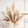 Decorative Tall Pampas Grass for Floor Vase  Premium Large Pampas Grass Decor Tall, 17"-40" Pampas Grass Stems, Dried Pampas Grass Decor Tall, Natural Pampas Grass with Beige Decor and Boho Feathers view 4