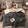 11Lb Double-Sided Velvet Winter Quilt, Super Warm Lamb Quilt Winter Blanket, Luxury Flannel Fleece Thick Bed Blanket, Soft Flannel Lamb Velvet Fabric, Warm Gift,D1,150x200cm/59x79in3.5Kg view 3