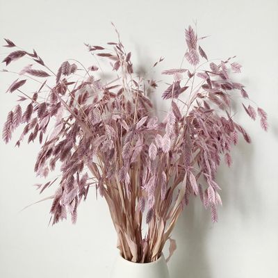 DongArts Wild Oats Dried Flower Bouquet, 18 inch Natural Dried Grass Decoration, Preserved Green Leaves for Home Wedding Party Dcor (Light Purple)
