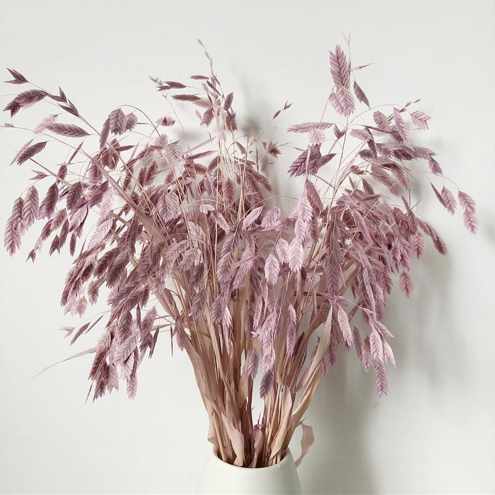 DongArts Wild Oats Dried Flower Bouquet, 18 inch Natural Dried Grass Decoration, Preserved Green Leaves for Home Wedding Party Dcor (Light Purple)