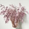 DongArts Wild Oats Dried Flower Bouquet, 18 inch Natural Dried Grass Decoration, Preserved Green Leaves for Home Wedding Party Dcor (Light Purple) view 1