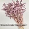 DongArts Wild Oats Dried Flower Bouquet, 18 inch Natural Dried Grass Decoration, Preserved Green Leaves for Home Wedding Party Dcor (Light Purple) view 2