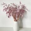 DongArts Wild Oats Dried Flower Bouquet, 18 inch Natural Dried Grass Decoration, Preserved Green Leaves for Home Wedding Party Dcor (Light Purple) view 3