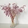 DongArts Wild Oats Dried Flower Bouquet, 18 inch Natural Dried Grass Decoration, Preserved Green Leaves for Home Wedding Party Dcor (Light Purple) view 4