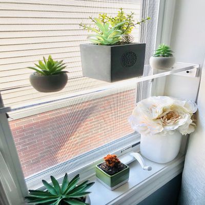 DistinctAndUnique Elegant and Sophisticated Floating Window Shelf (27.5", Double Shelf) - Crystal Clear Recessed Durable Strong Acrylic Trinket, Plants and Succulents Indoor Collection Display Stand