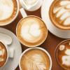 Respicefinem 16 Pieces Plastic Coffee Template Stencils Cappuccino Chocolate Latte Strew Pad Art Coffee Stencils Latte Art DIY Tools Cake Coffee Decorating Stencils view 4