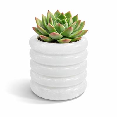 4x4x4" Natural Alabaster Stone Scalloped Tumbler Holder  Indoor planter, Bathroom Toothbrush Cup, Makeup Brush Organizer, Kitchen Utensil Holder & Office Stationery Cup  Handcrafted Luxury Decor