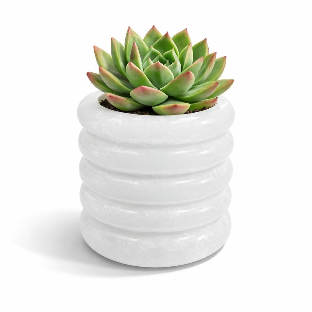 4x4x4" Natural Alabaster Stone Scalloped Tumbler Holder  Indoor planter, Bathroom Toothbrush Cup, Makeup Brush Organizer, Kitchen Utensil Holder & Office Stationery Cup  Handcrafted Luxury Decor