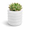 4x4x4" Natural Alabaster Stone Scalloped Tumbler Holder  Indoor planter, Bathroom Toothbrush Cup, Makeup Brush Organizer, Kitchen Utensil Holder & Office Stationery Cup  Handcrafted Luxury Decor view 1