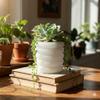 4x4x4" Natural Alabaster Stone Scalloped Tumbler Holder  Indoor planter, Bathroom Toothbrush Cup, Makeup Brush Organizer, Kitchen Utensil Holder & Office Stationery Cup  Handcrafted Luxury Decor view 2