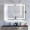 Black Bathroom Mirror Medicine Cabinets with LED Lights, Wall Mounted Mirror Medicine Cabinet with Adustable Shelf, Shaver Socket and Plug, 2 Doors, Anti Fog, Dimmable, Memory Function, 32 x 24 inch view 1