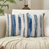 Aeckself Boho Throw Pillow Covers 18x18 Inch Set of 2, Farmhouse Decorative Striped Square Pillow Covers Chenille Tufted Pillow Cases Accent Neutral Pillowcase for Living Room Couch Bed, Sky Blue view 1