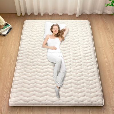 Premium Foam Japanese Futon Floor Mattress Queen Size 60"x 80",100% High Density Foam Comfortable Floor Mattress,3.2" Thicken Foldable Sleeping Pad,Dormitory Tatami Mat,for Adult and Kids(White)