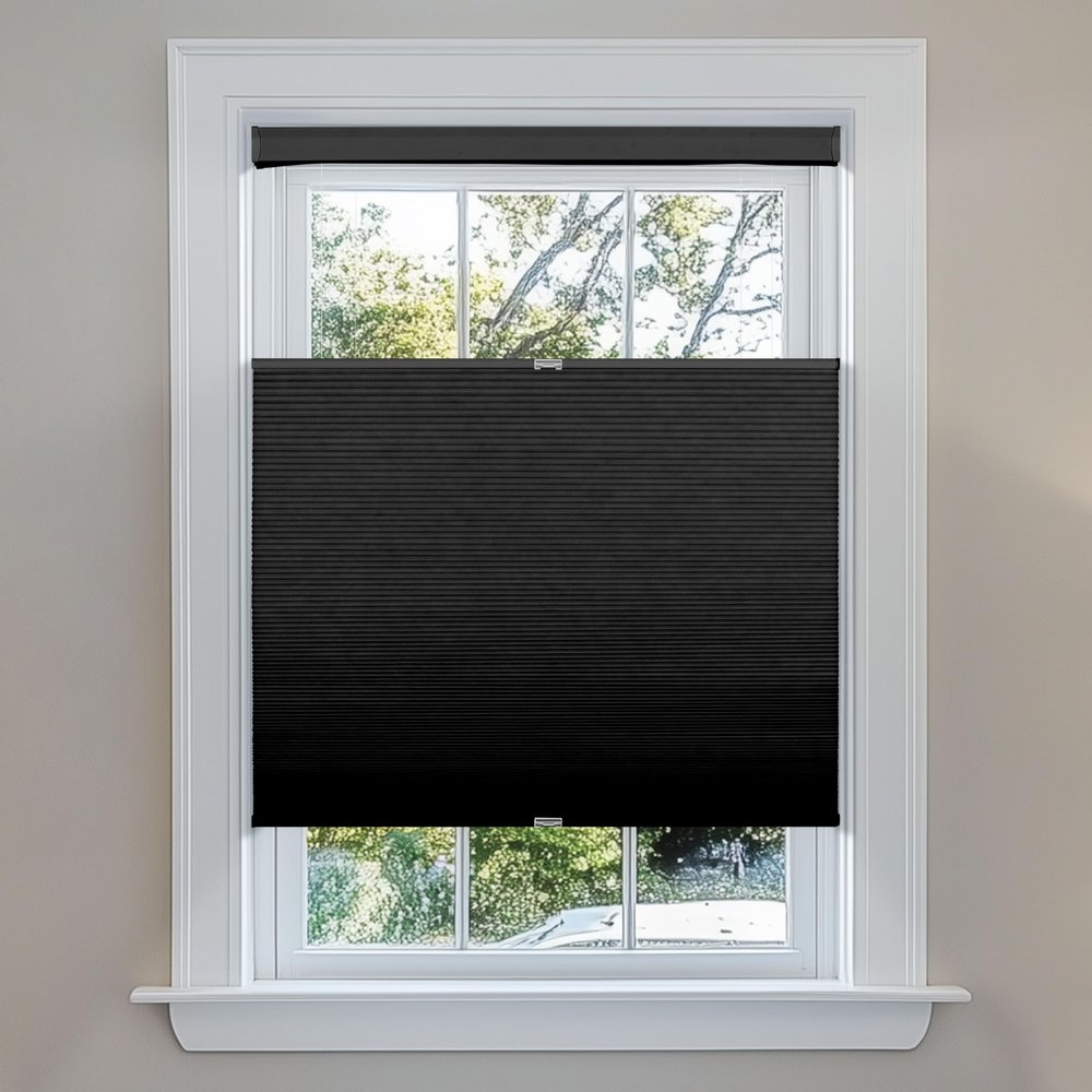 Berissa Blackout Cellular Shades, Top Down Bottom Up for French Door Window, 1" Honeycomb Fabric Thermal Insulated Privacy Blinds for Indoor Windows, Front Back Doors, Black, 62" W x 64" H