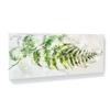 Sense Canvas Fern Plant Elegant Fern Study 12 Canvas Art - Home Decor Wall Art Print Poster Painting Small 20x8 / 1.5" view 1