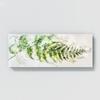 Sense Canvas Fern Plant Elegant Fern Study 12 Canvas Art - Home Decor Wall Art Print Poster Painting Small 20x8 / 1.5" view 4