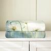 Erosebridal Dandelion Baby 30x40 Blanket, Dragonfly Throw Blanket, Romantic Vintage Sketch Fleece Blanket, Nature Aesthetic Ink Painting Fuzzy Blanket Bedroom Living Room, Yellow Blue view 4