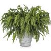 Artgar 12 Pcs Pine Branches - 18 Inch Artificial Green Pine Stem - Real Touch Christmas Greenery Pines Branches for DIY Flower Arrangement Home Indoor Christmas Decor view 1