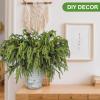 Artgar 12 Pcs Pine Branches - 18 Inch Artificial Green Pine Stem - Real Touch Christmas Greenery Pines Branches for DIY Flower Arrangement Home Indoor Christmas Decor view 4