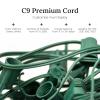 Pro Christmas Outdoor C9 Light Cord, 250' Spool, 18" Spacing, Green Wire view 2