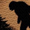Bigfoot Theme Twin/King Size Quilt Set - Super Soft Microfiber, Lightweight, Sasquatch Bedding Pattern for Bedroom Decor view 2