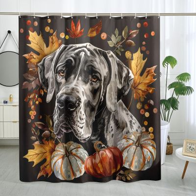TPHIHPT Fall Harvest Great Dane Shower Curtain Set 62''x72'' with Hooks, Autumn Pumpkin Pet Bathroom Decor, Dog Maple Bath Accessories Polyester Fabric