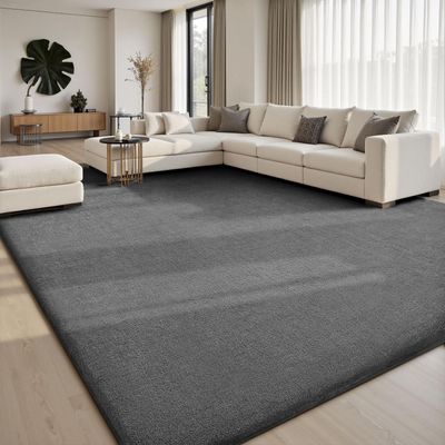 Sour Lemon 8x10 Area Rugs for Bedroom Living Room, Large Carpet Grey Rug