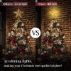 WVSAFV Christmas Tree Topper Star Gold, Christmas Tree Toppers with 40 Coloured & Warm LED Lights, Tradition Tree Topper Star for Home Holiday Xmas Tree Christmas Decor, Glitter Gold view 3