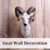 Animal Head Wall Decor, American Retro Simulation Sheep Head Wall Hanging, Wall Hanging Decoration for Family Living Room Bedroom Kitchen view 2