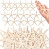 24 Pcs Starfish for Crafts, 2'' to 4'' Star Fish Shells Decorations, Natural Starfish Decor Bulk for Beach Theme DIY Crafts Christmas Tree Ornaments view 1