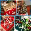 24 Pcs Starfish for Crafts, 2'' to 4'' Star Fish Shells Decorations, Natural Starfish Decor Bulk for Beach Theme DIY Crafts Christmas Tree Ornaments view 2
