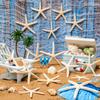 24 Pcs Starfish for Crafts, 2'' to 4'' Star Fish Shells Decorations, Natural Starfish Decor Bulk for Beach Theme DIY Crafts Christmas Tree Ornaments view 3