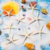 24 Pcs Starfish for Crafts, 2'' to 4'' Star Fish Shells Decorations, Natural Starfish Decor Bulk for Beach Theme DIY Crafts Christmas Tree Ornaments view 4