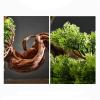 WANGHAI2024M Artificial Trees Artificial Potted Plants Landscape Ornaments Living Room Hotel Soft Furnishings Home Decoration Simulation Tree Feng Shui Ornaments Artificial Bonsai view 3