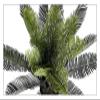 Artificial Trees Artificial Trees 80cm/2.62ft Fake Tree Simulated Cycad Potted Plant in Black Pot for Indoor Outdoor Artificial Plant Decor Decor view 3