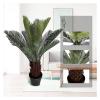 Artificial Trees Artificial Trees 80cm/2.62ft Fake Tree Simulated Cycad Potted Plant in Black Pot for Indoor Outdoor Artificial Plant Decor Decor view 4