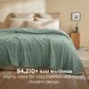 Bedsure GentleSoft Fleece Blanket Queen Size for Bed - Super Soft & Cozy, Fluffy Blankets for Women & Girls, Ideal for Sofa & Couch, Sage Green, 90x90 Inches view 2