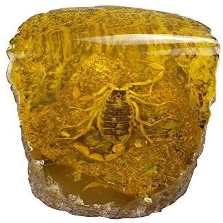 JKSVTF Chinese Feng Shui Amber Jade Statue Scorpion Decoration, Home and Office Specimen