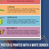 Butterfly Life Cycle Poster - Classroom Therapy Educational School Kid Poster - 12 x 18 Inch Unframed Poster - Premium Poster On 100lb Gloss Paper - Printed In The USA FHJP1605 view 3