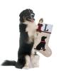 Shgngle 20 Inches Pets Initial Christmas Stocking,Dog Christmas Stocking Personalized with Dog Bone Hanging Wooden Ornament,Xmas Gifts for Pets(Letter Z) view 4