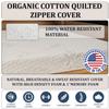 Foamma 12 x 24 x 72 Truck, Camper, RV High Density Foam Bunk Mattress, Organic Cotton Cover, Made in USA, Comfortable, Travel Trailer, CertiPUR-US Certified view 2