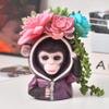 CAJDEOPYE Face Planters Pot Funny Wearing Hoodie Animal Head Flower Pot Succulent Planter Pot with Drainage Hole Decorative Plant Container Birthday Holiday Gardening Gift /1532 view 1