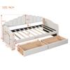 LOONGYOON Twin Velvet Upholstered Daybed Frame with 2 Drawers USB Charging Ports Side Pockets for Kids Teens Adults Bedroom Living Room Strong Wood Slats Support No Box-Spring Required No Noise Beige view 2